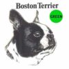 Boston-Terrier-D36-300×300