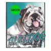 Bulldog-D219-300×300