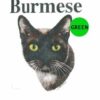 Burmese-C44-300×300