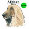 Afghan-D1-300×300