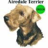 Airedale-Terrier-D4-300×300