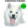 American-Eskimo-D8-300×300