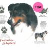 Australian-Shepherd-D10-300×300-1