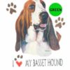 Basset-Hound-D14-300×300