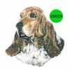 Basset-Hound-D16-300×300