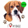 Beagle-D69-300×300