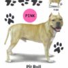 Pit-Bull-D13-300×300-1