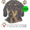 Black-Tan-Dachshund-D26-300×300