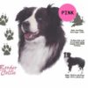 Border-Collie-D33-300×300-1