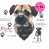 Border-Terrier-D243-300×300-1