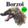 Borzoi-D34-300×300