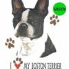 Boston-Terrier-D18-300×300