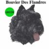 Bouvier-Des-Flandres-D37-300×300