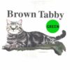 Brown-Tabby-C38-300×300