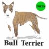 Bull-Terrier-D53-300×300