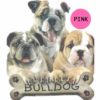 Bulldog-D39-300×300-1