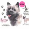 Cairn-Terrier-D55A-300×300-1