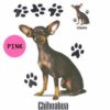 Chihuahua-D55-300×300-1