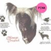 Chinese-Crested-D61-300×300-1