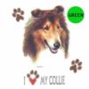 Collie-D73-300×300