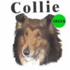 Collie-D74-300×300