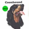 Coohound-D80-300×300