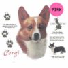 Corgi-D180-300×300-1