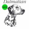 Dalmatian-D93-300×300