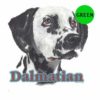 Dalmatian-D94-300×300