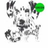 Dalmatian-D94A-300×300