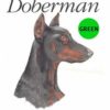 Doberman-D98-300×300