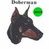 Doberman-D99-300×300