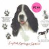 English-Springer-Spaniel-D107-300×300-1