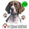 German-Shorthair-D91-300×300