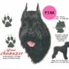 Giant-Schnauzer-D214-300×300-1