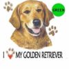 Golden-Retriever-D48-300×300