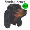 Gordon-Setter-D129-300×300