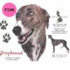 Greyhound-D134-300×300-a