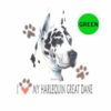 Harlequin-Great-Dane-D137-300×300