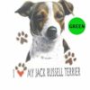 Jack-Russell-Terrier-D143-300×300