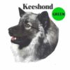 Keeshond-D144-300×300