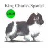 King-Charles-Spaniel-D146-300×300