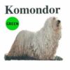 Komondor-D147-300×300