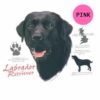 Labrador-Retriever-D148A-300×300-1