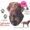 Labrador-Retriever-D150-300×300-1