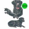 Labrador-Retriever-D157-300×300