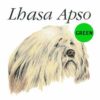 Lhasa-Apso-D164-300×300