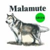 Malamute-D165-300×300