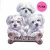 Maltese-D209-300×300-1