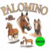 Palomino-H25-300×300